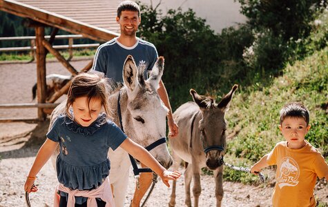 Familie beim Spaziergang mit Eseln