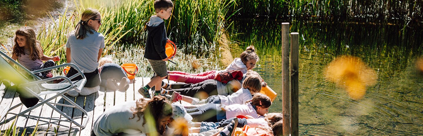 Kinder beim Forschen am Biotop