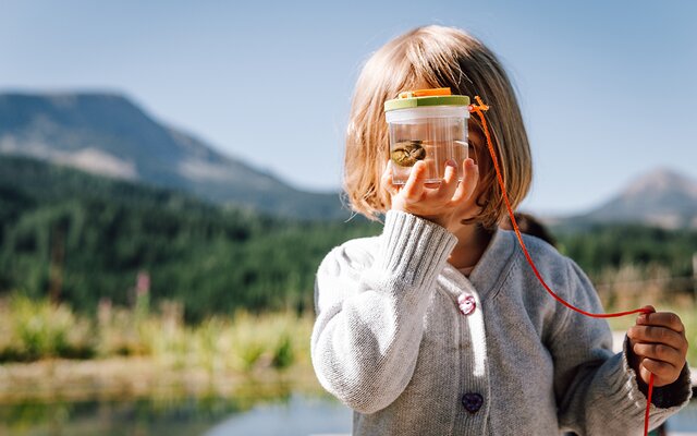 Pflanzen und Tiere beobachten