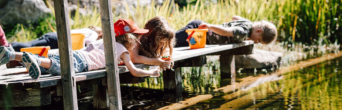 Kinder beim Forschen im Biotop