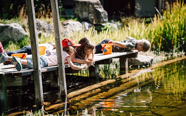 Biotope to explore