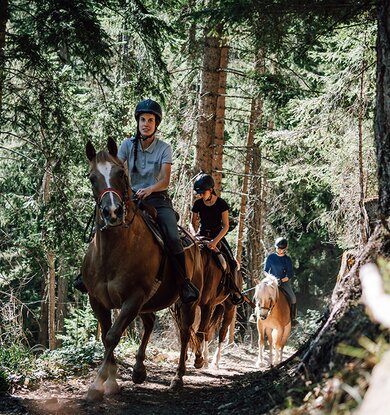Reitergruppe beim Ausritt im Wald