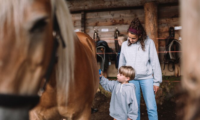 Junge bei Pferdepflege