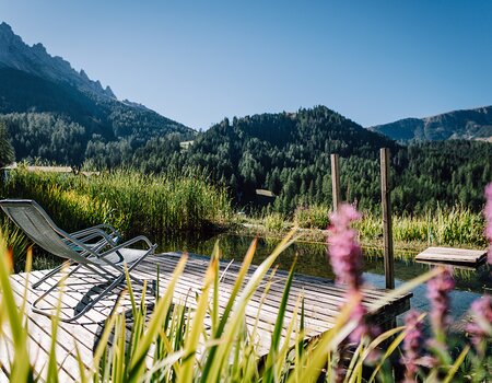 Bio-Schwimmteich mit Liegestuhl und Bergpanorama