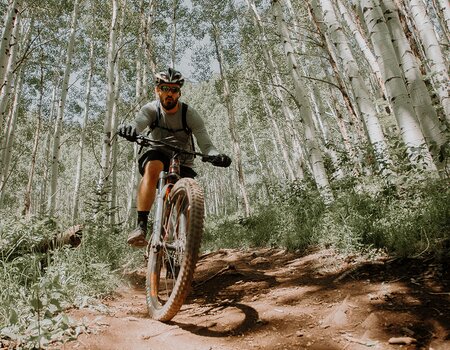 Mountainbiker im Wald