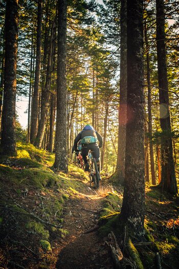 Mountainbiker beim Bergfahren