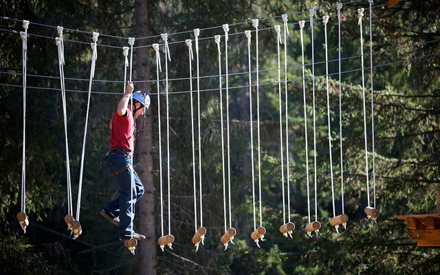 Percorso ad alta fune nella foresta