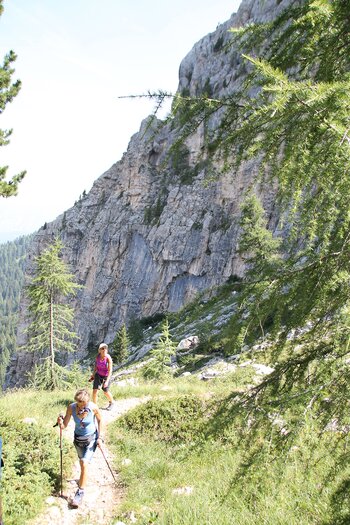 Wanderer mit Trekkingstöcken