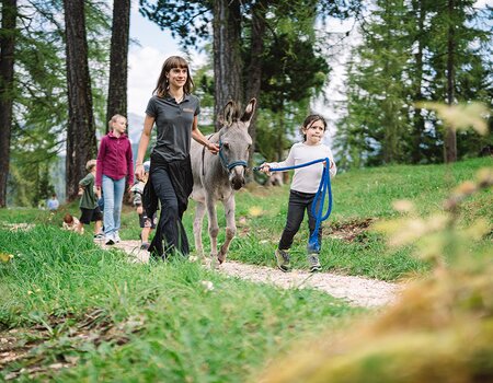 Familie beim Spaziergang mit den Eseln Familie beim Spaziergang mit den Eseln