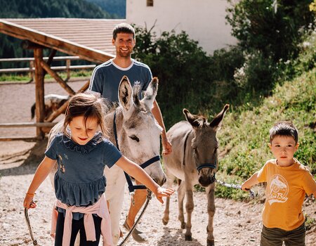 Familie beim Spaziergang mit den Eseln
