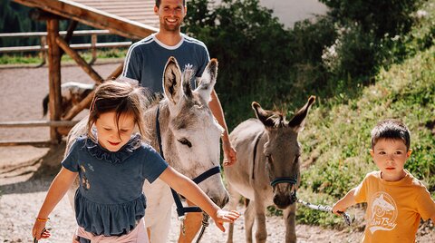 Familie beim Spaziergang mit den Eseln