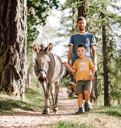 Vater und Sohn beim Esel-Spaziergang im Wald