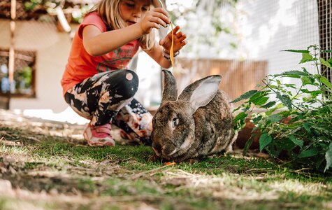 Kind beim Füttern der Hasen