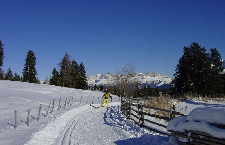 Langläufer auf der verschneiten Loipe