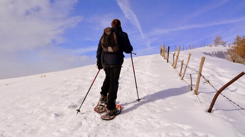 Schneeschuhwanderer in winterlicher Umgebung